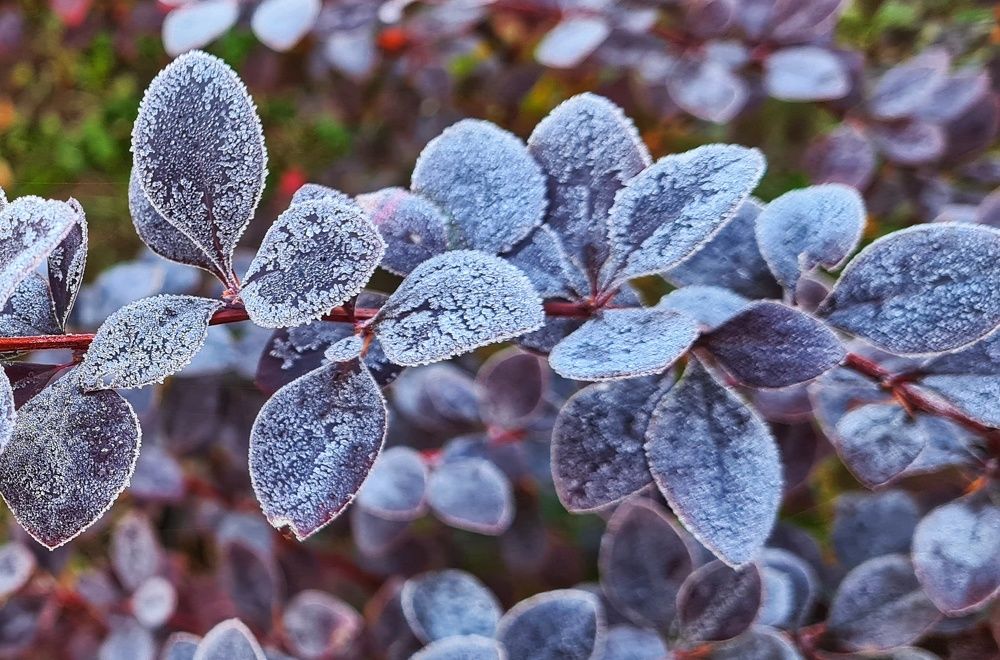 Photograph by Оксана Новикова