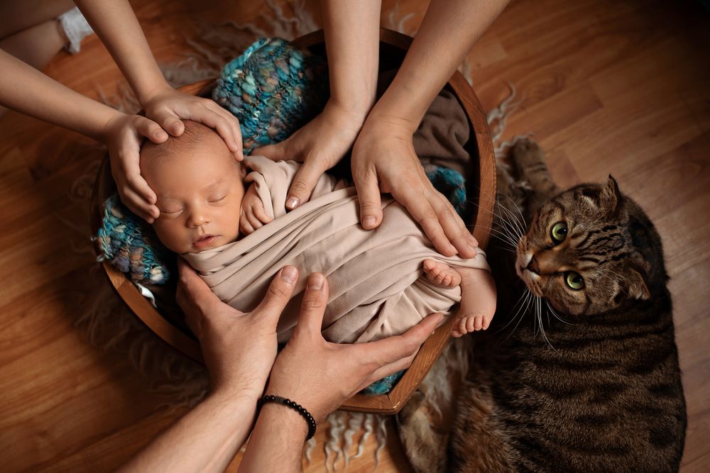 Photograph by Елена Иванова