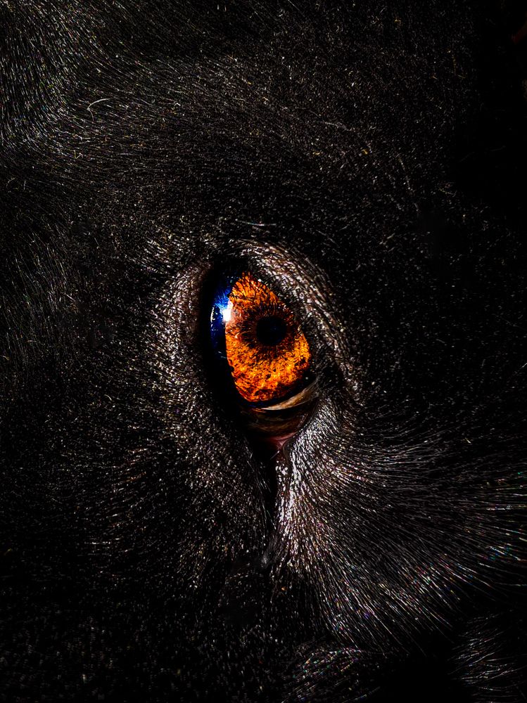 Photograph by Nirwan Malviya