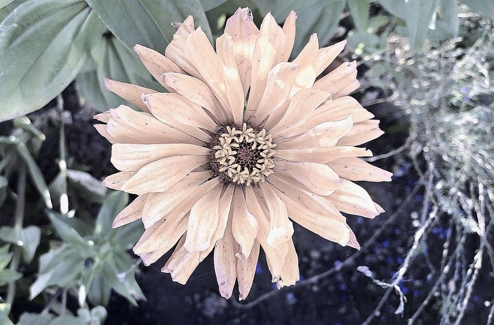 Photograph by Николай Худяков