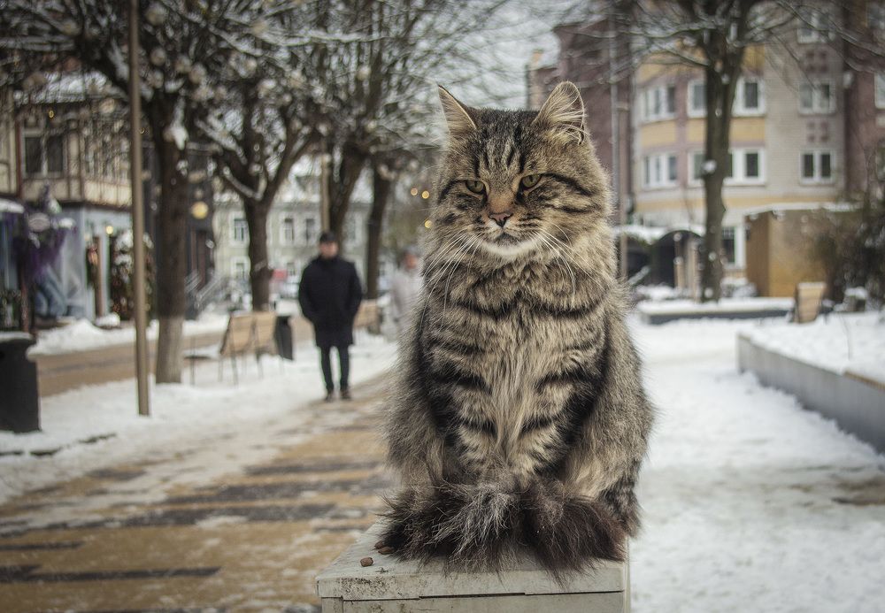 Photograph by Павел Дунюшкин