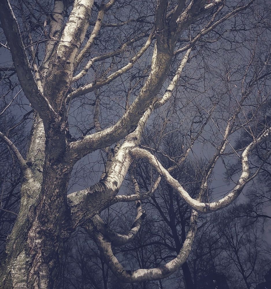 Photograph by Nora Cheprasova