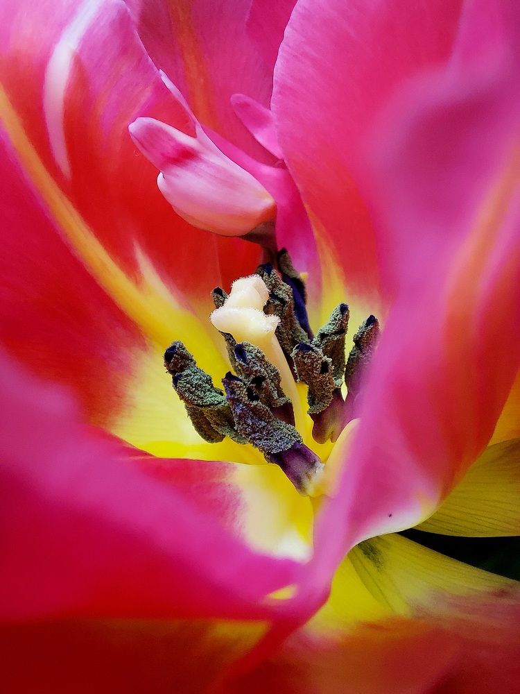 Photograph by Nora Cheprasova