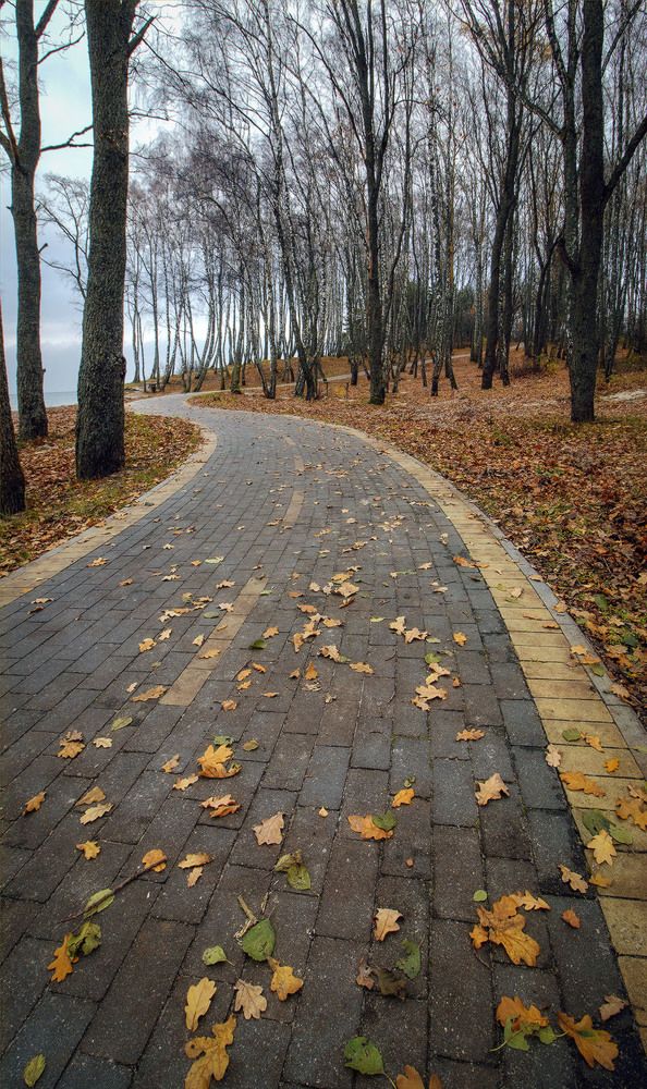 Photograph by Павел Дунюшкин