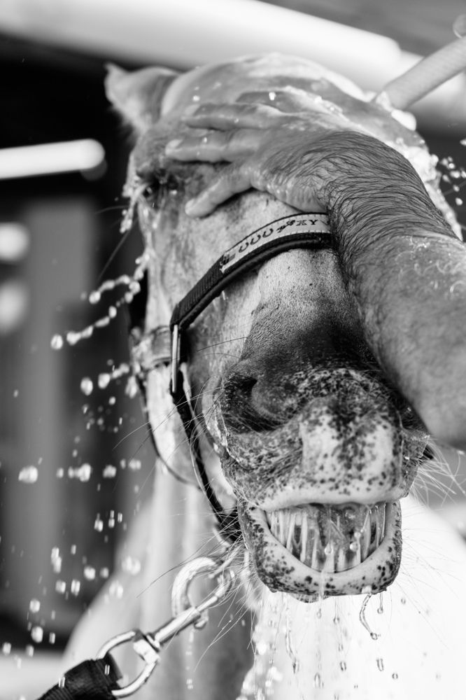 Photograph by Rino Suren