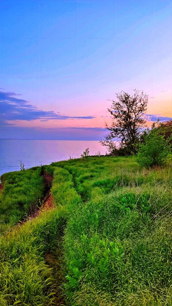 Photograph by Adam Yandiev