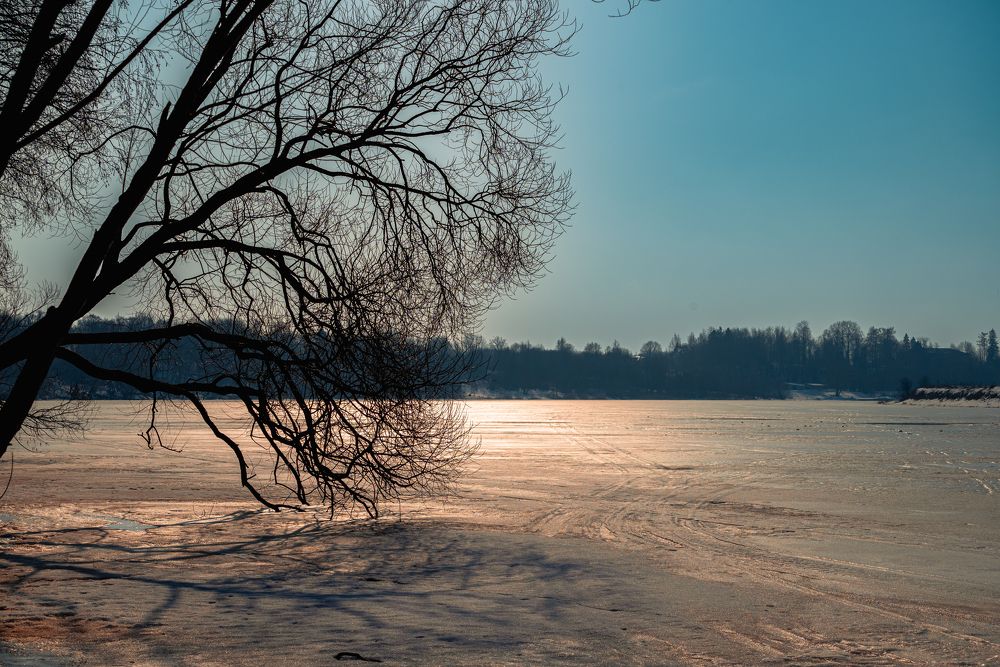 Photograph by Сергей Зимин