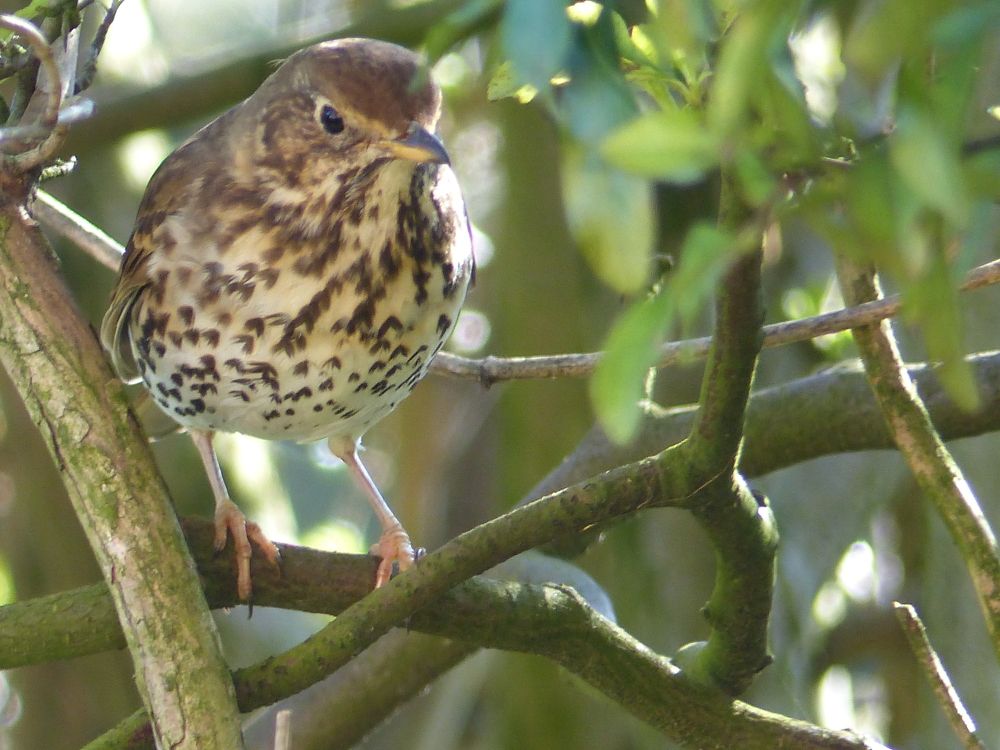 Photograph by Isabella Northrop