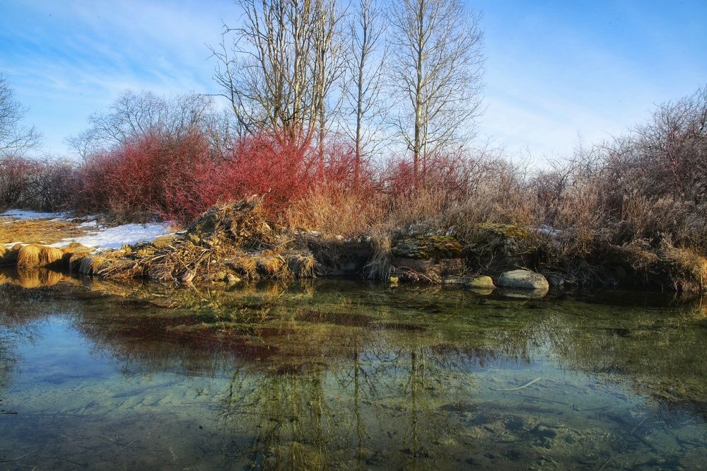 Photograph by Владимир Микрокосмос