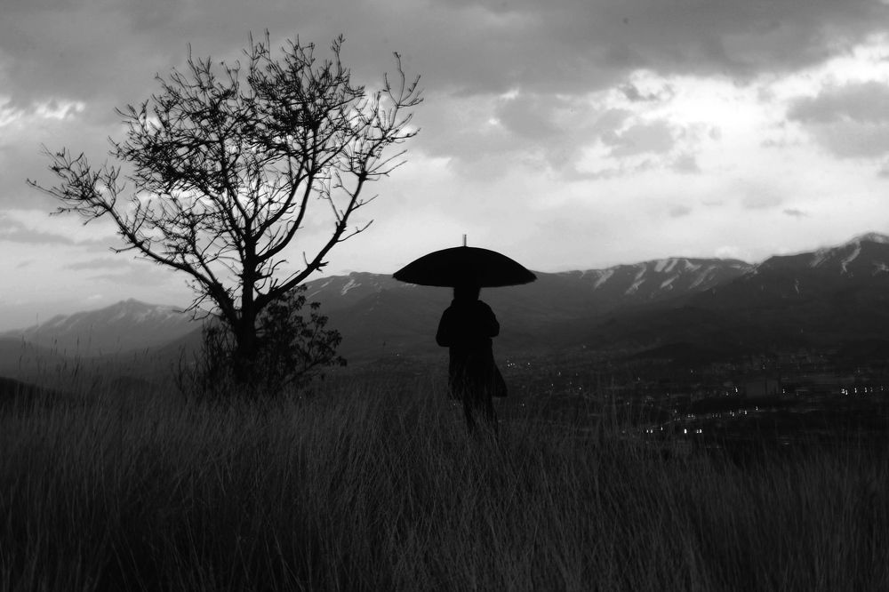 Photograph by kamran shirzad