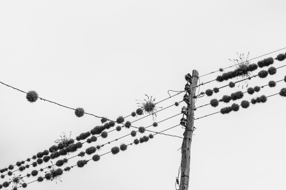 Фотография автора Christian Torrico