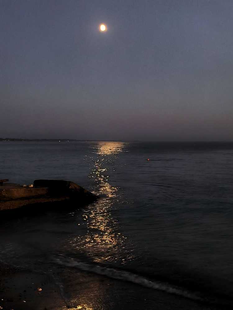 Photograph by Людмила Кухарева