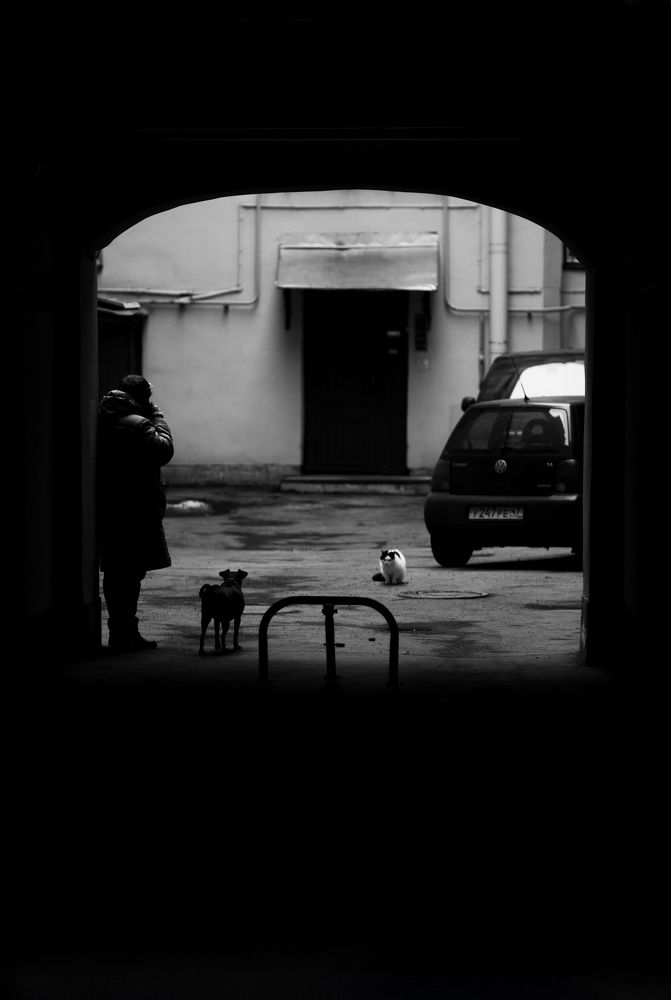 Photograph by Сергей Кутьин