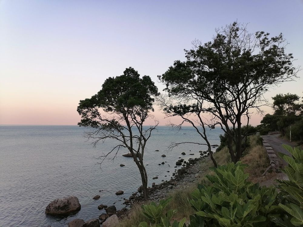 Photograph by Константин