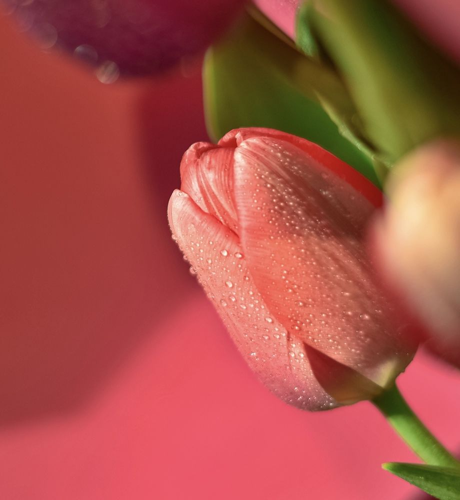 Photograph by Алеся Вершинина