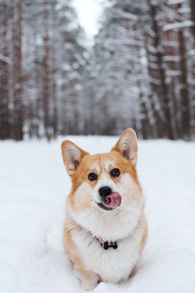 Photograph by Александр