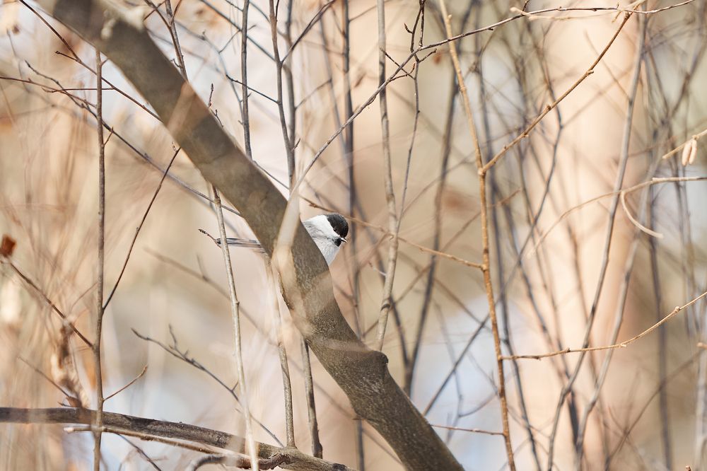 Photograph by Александр