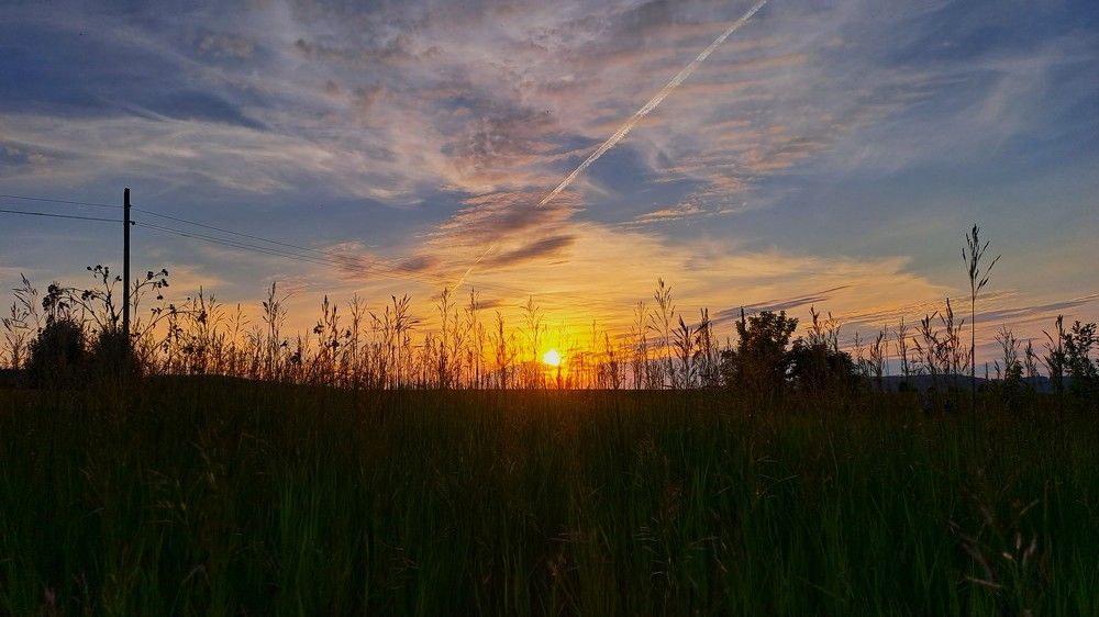 Photograph by Николай Худяков