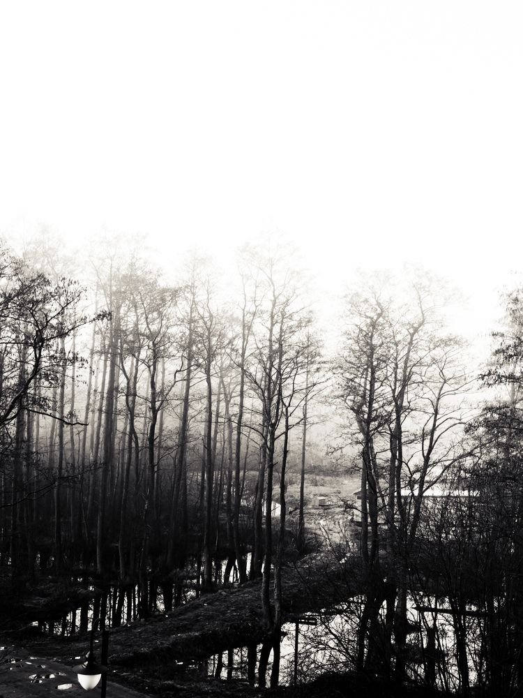 Photograph by Алиса Нежинская