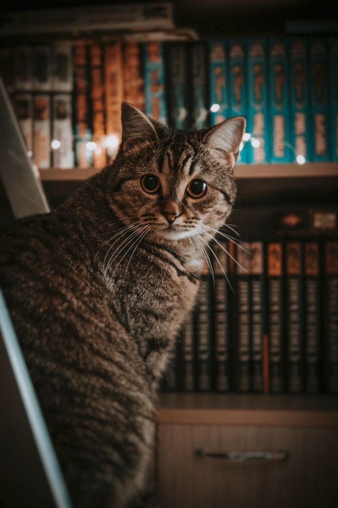 Что почитать?