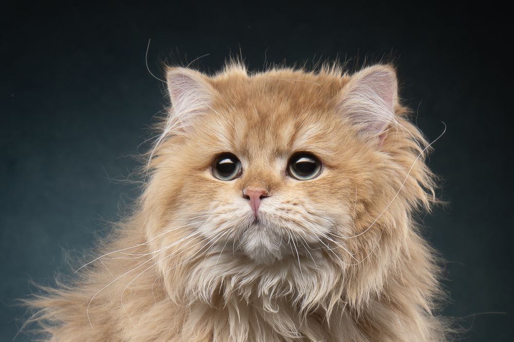 Photograph by Марина Виноградова