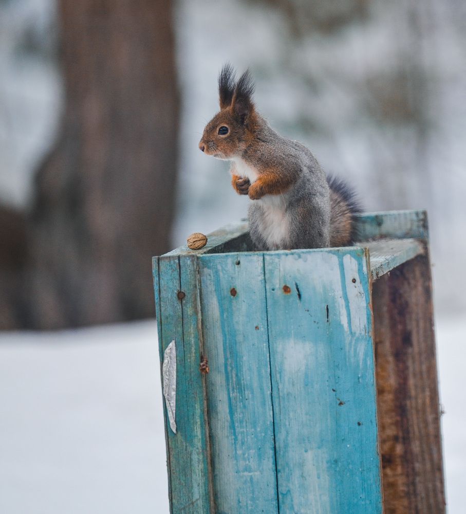 Photograph by Елена Ермакова