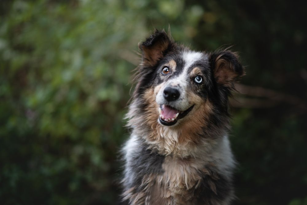 Фотография автора lucia saiz