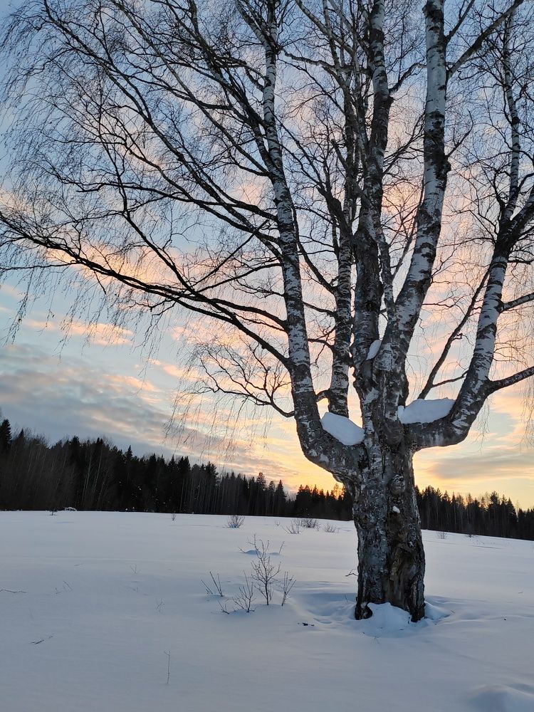 Photograph by Ирина Дружинина