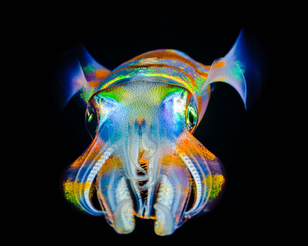 Photograph by Савин Андрей