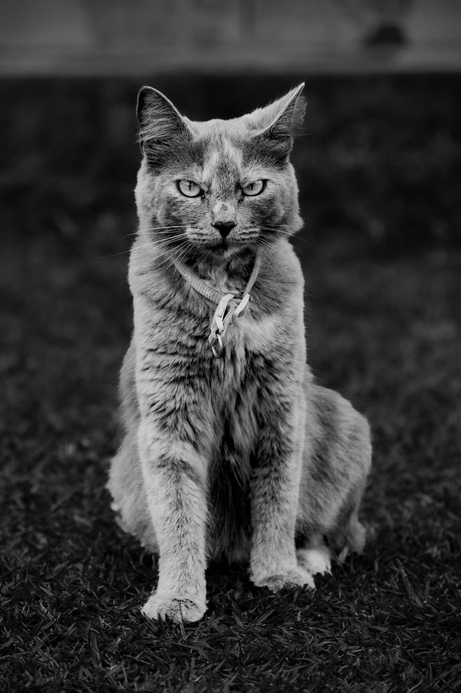 Фотография автора Esteban Gómez