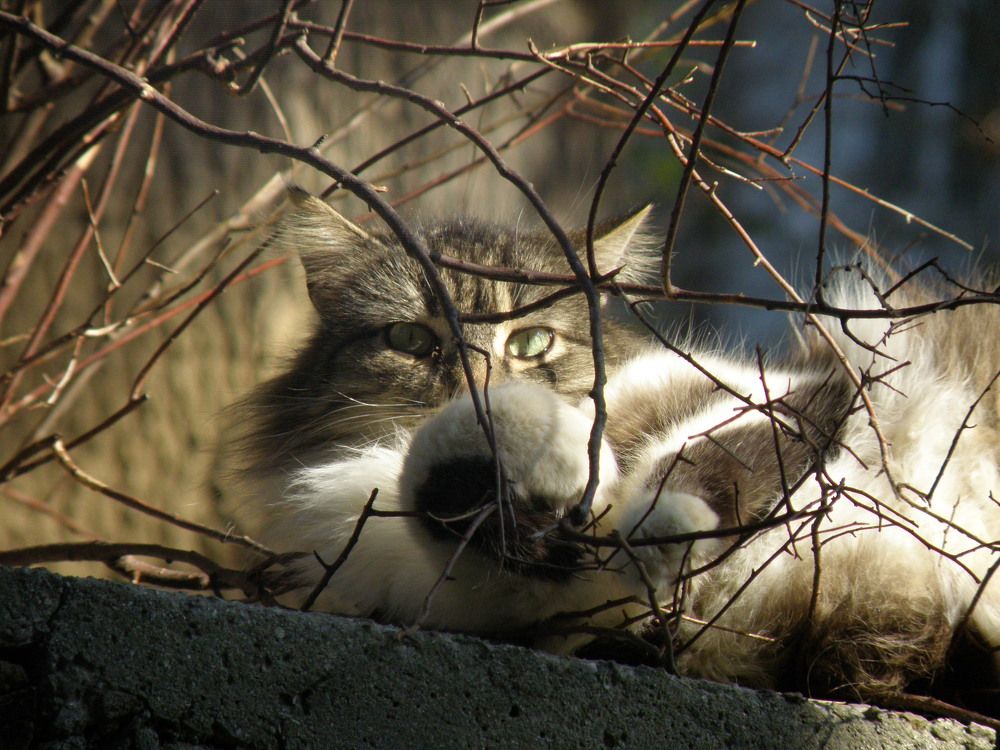 Photograph by Константин