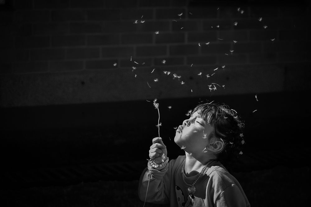 Фотография автора Esteban Gómez