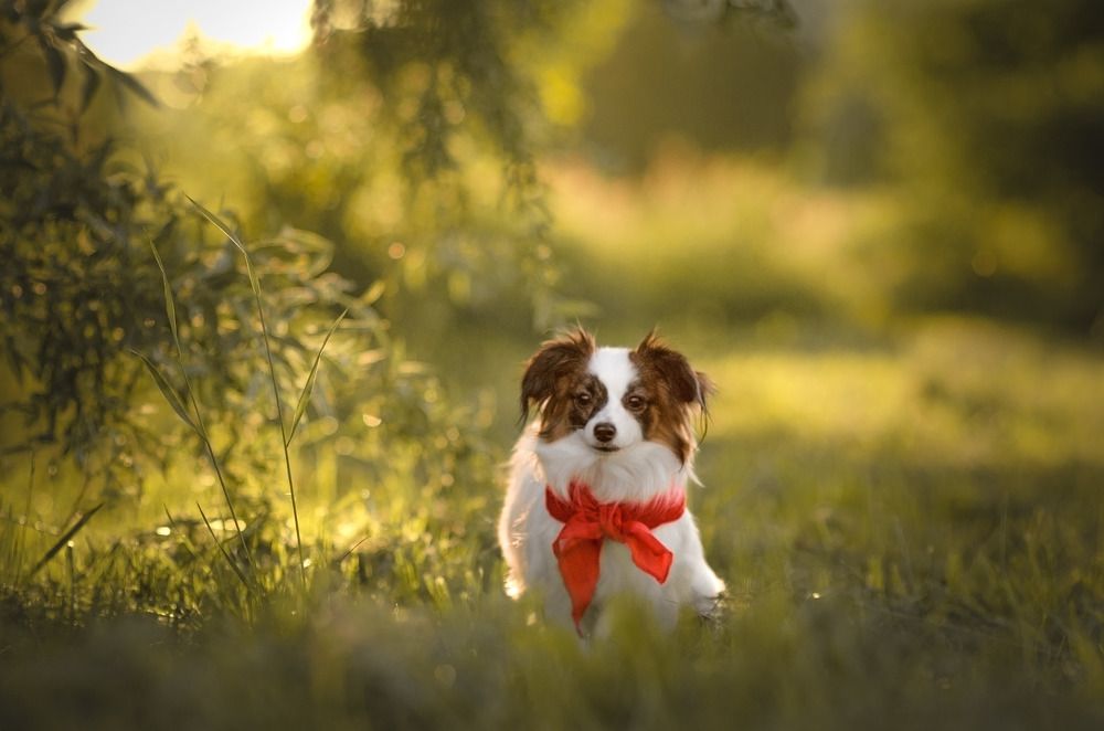 Photograph by Stacey