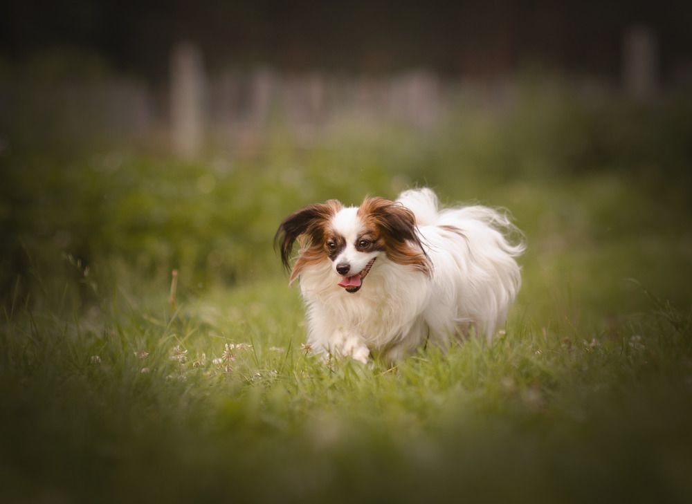 Photograph by Stacey