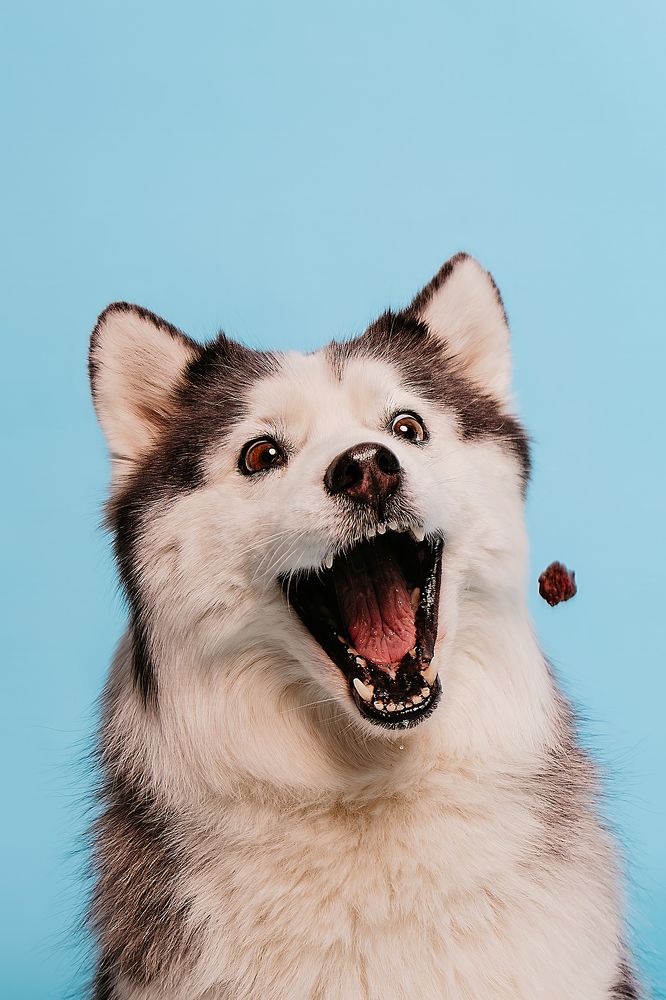 Photograph by Юлия Скворцова