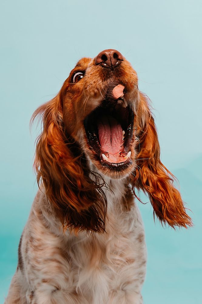 Photograph by Юлия Скворцова