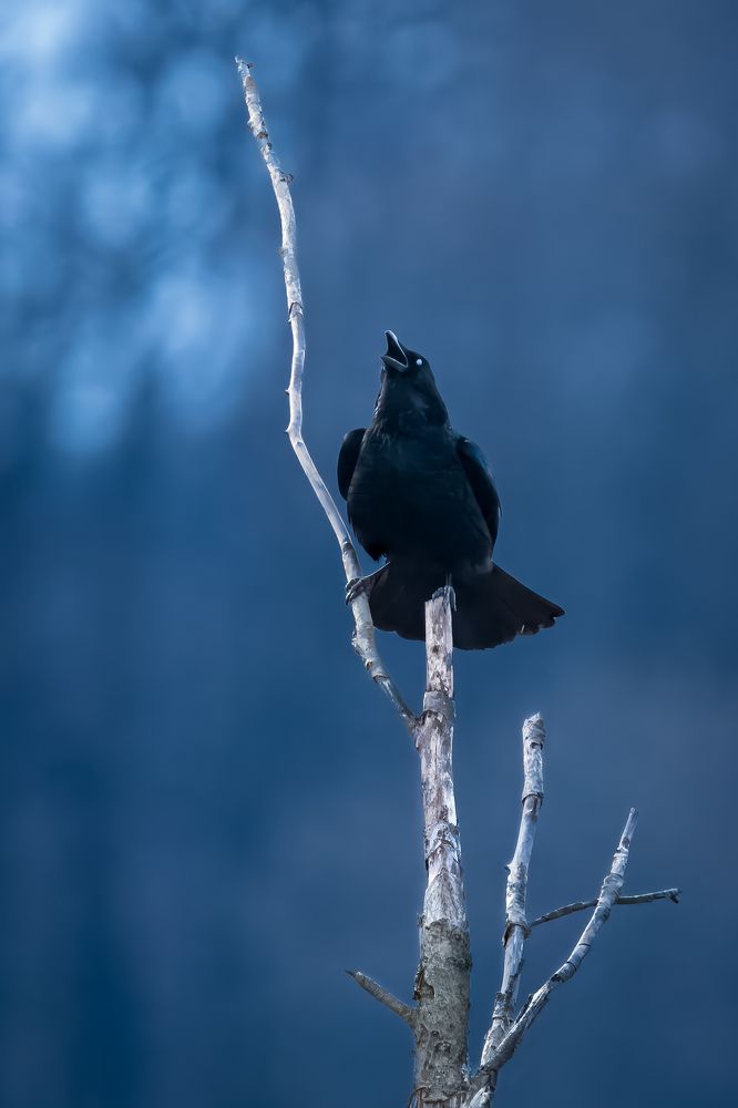 Photograph by Lance Chennault