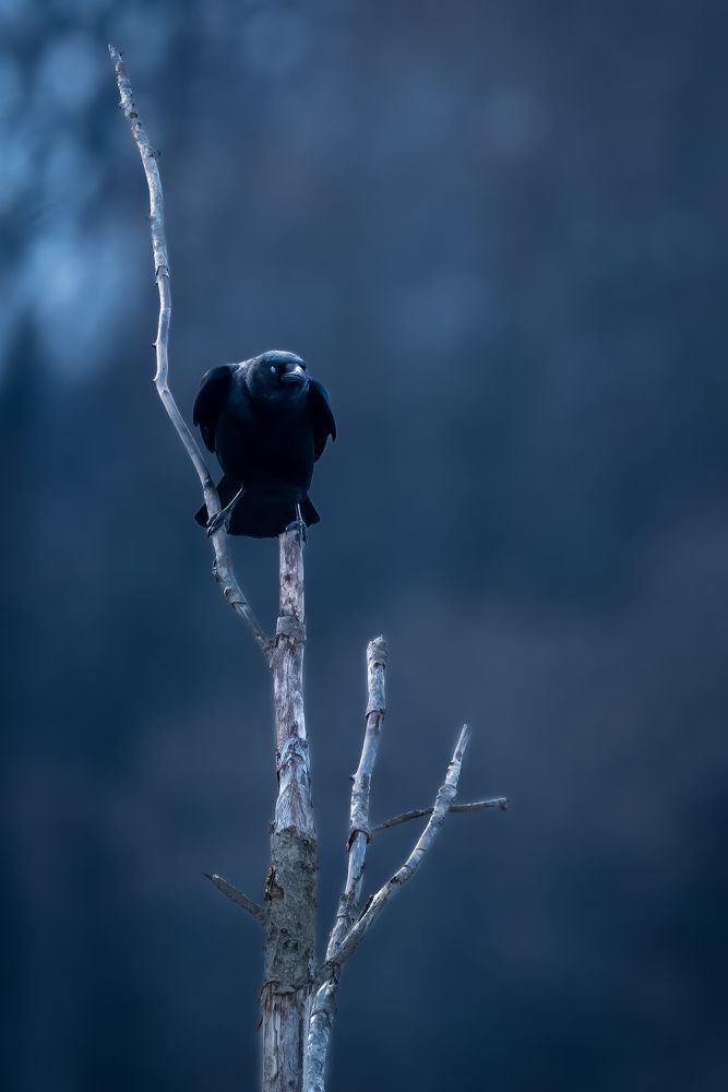 Photograph by Lance Chennault