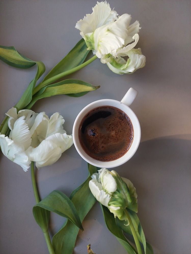 Photograph by Svitlana Usatenko