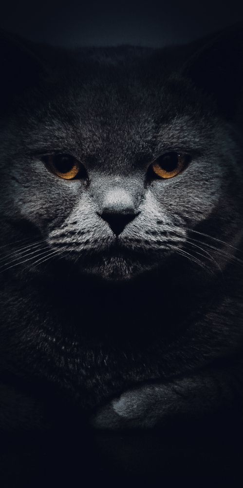 Photograph by Hayk Mkrtchyan