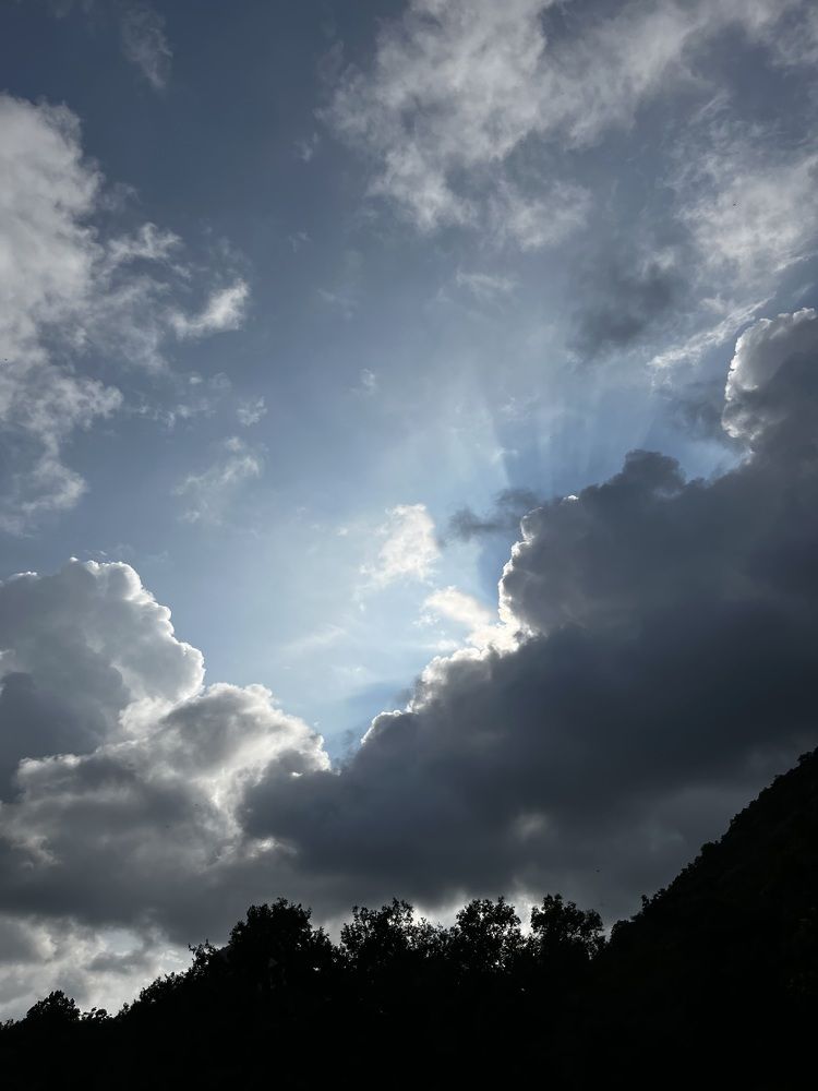 Фотография автора SHREYA SHUKLA