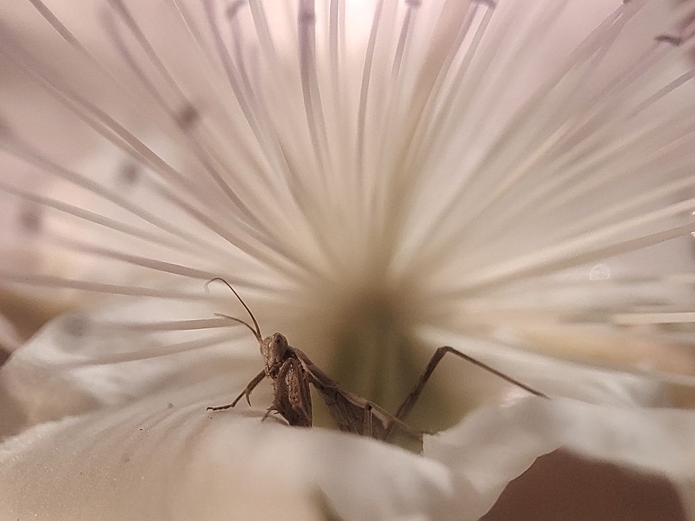 Photograph by FABIO SARTORI