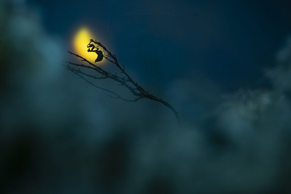 Photograph by FABIO SARTORI