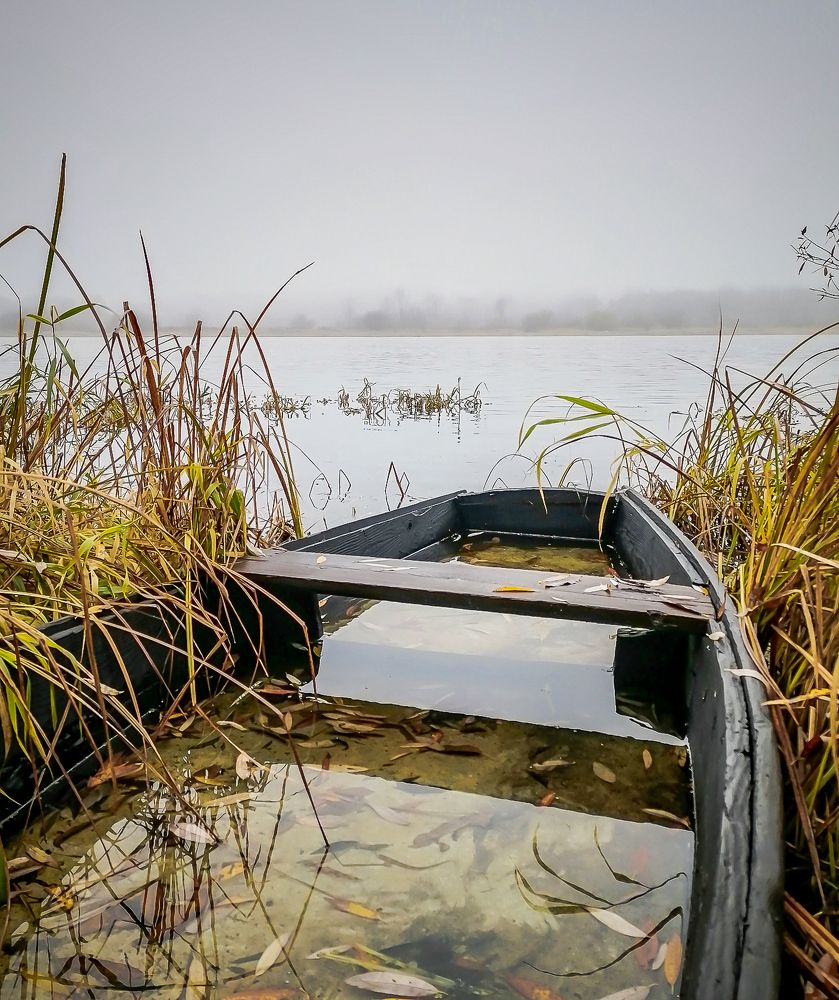 Photograph by Виктор Позняков