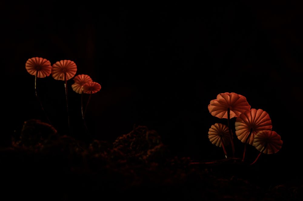 Photograph by FABIO SARTORI