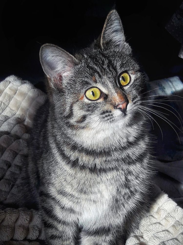 Photograph by Марина Мальцева