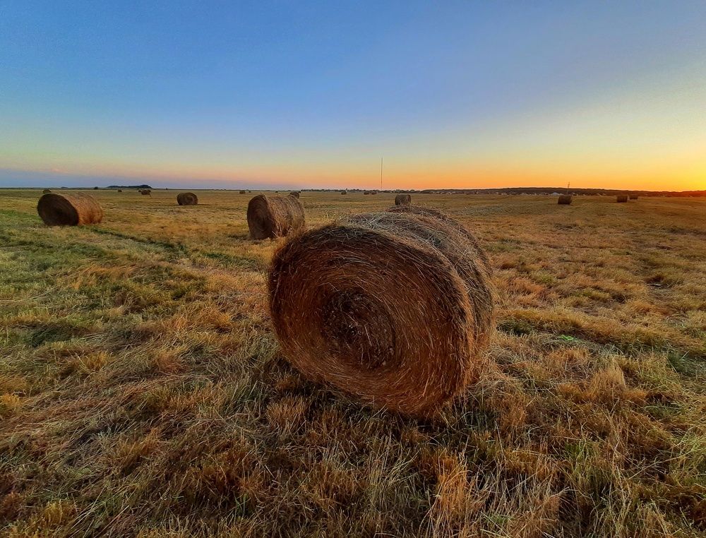 Photograph by Татьяна Кива