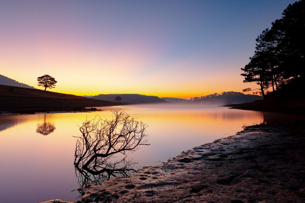 Photograph by Xuan Tung Luong