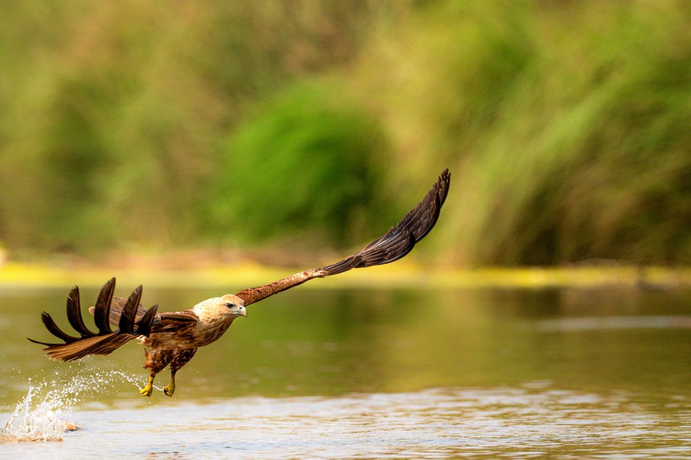 Photograph by Sharad Mansharamani
