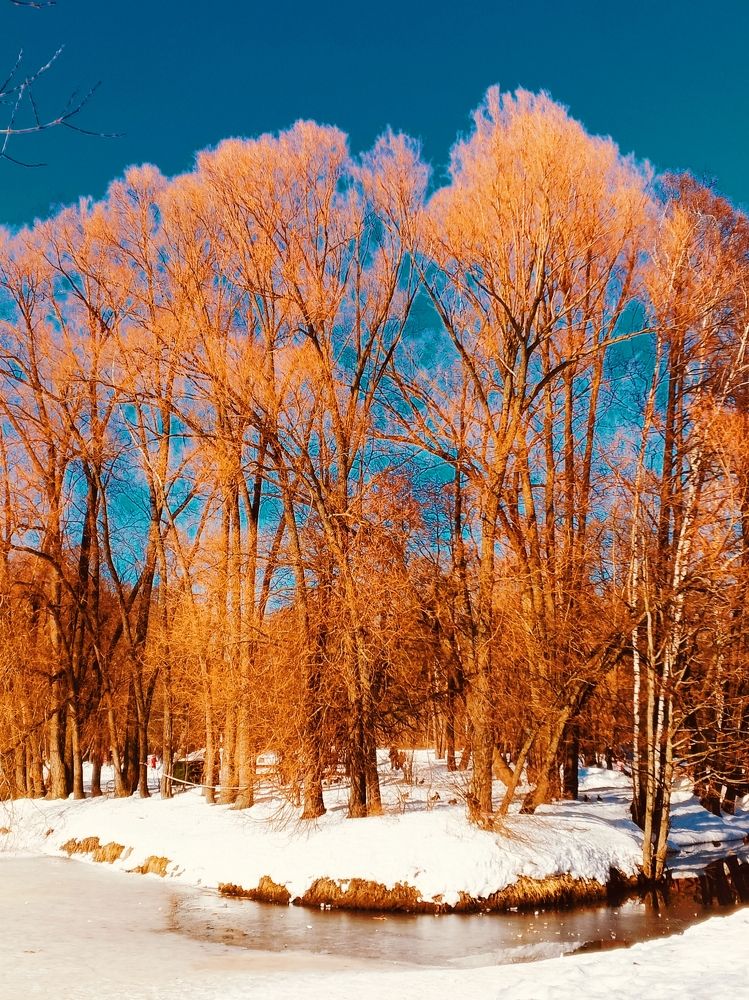 Фотография автора Евгений Карпов